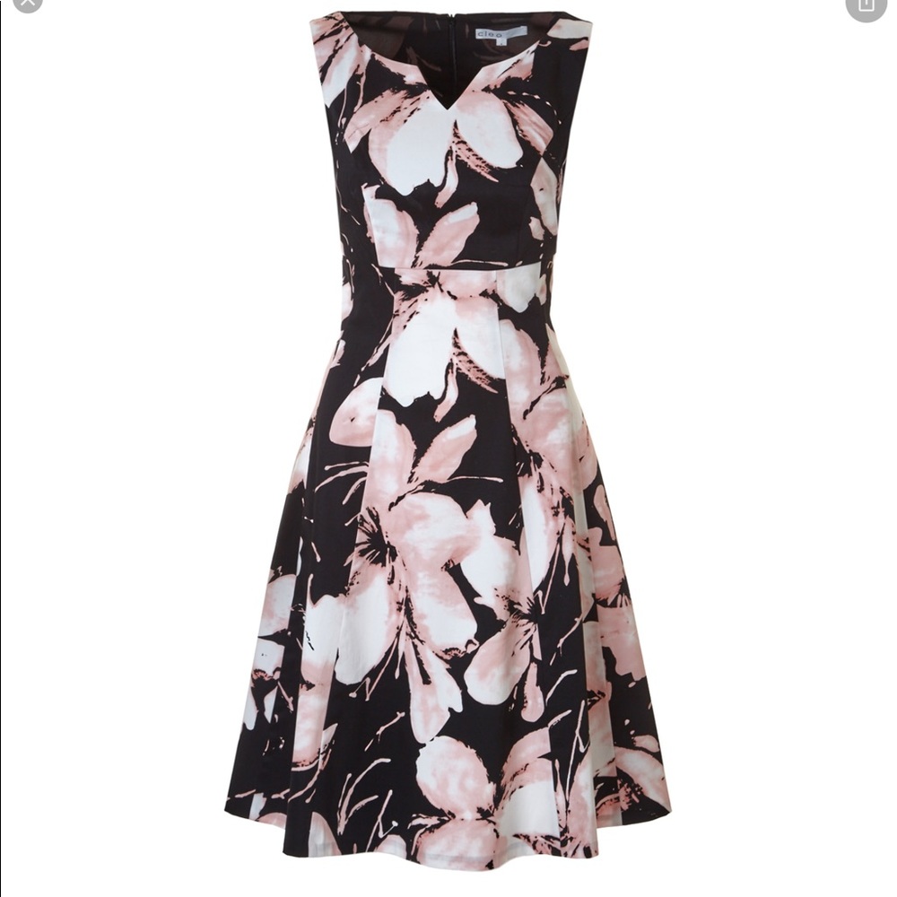 2/30$ - Cleo Fit and Flare Floral Dress